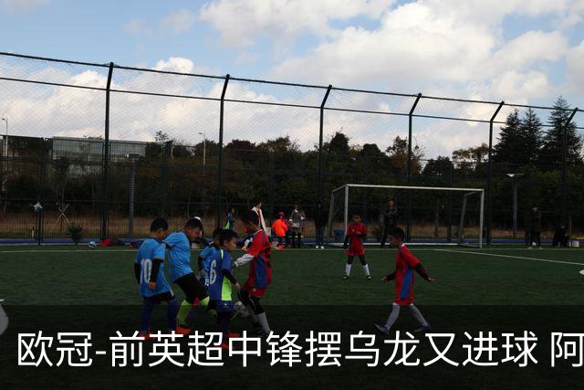 欧冠-前英超中锋摆乌龙又进球 阿贾克斯2-2本菲卡